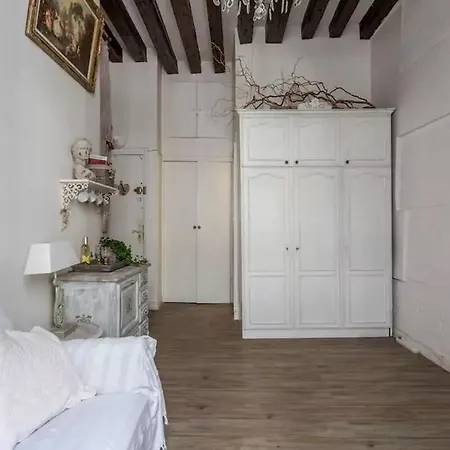 Appartement La Belle Du Marais *